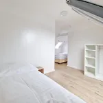 Tolstov Apartments - 1 Or 3 Room Apartments - 20 Min Messe Dus And Old Town Dus